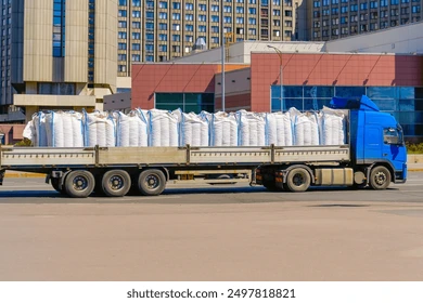 Bulk cargo transport